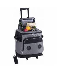 Parkway Music Cooler, 38L